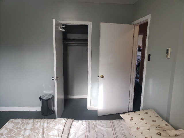 Room for rent in Room Rentals & Roommates in St. John's - Image 2