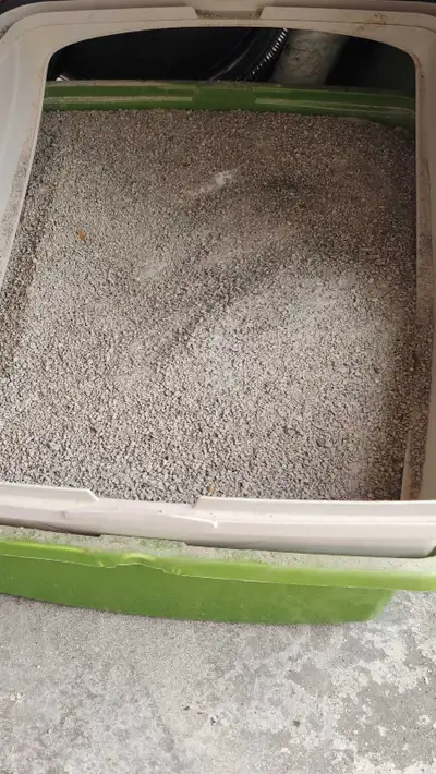 This basic cat litter box is perfect for kittens or cats, providing a simple and functional solution...