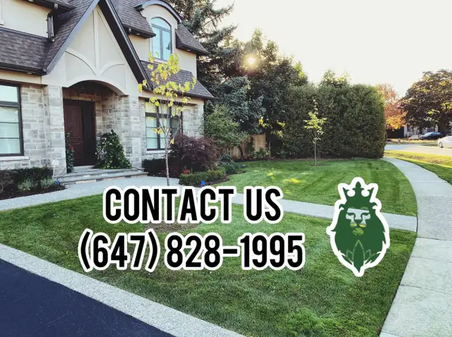 Grass Cutting Starting as low as $35 Weekly62865710338434123