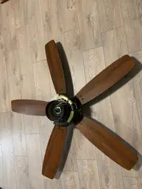 Ventilateur plafonnier / Ceiling fan