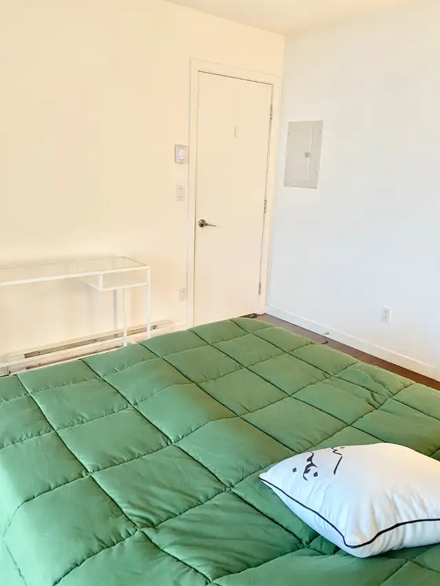 Home for the Holidays in British Columbia in Canada - Image 4