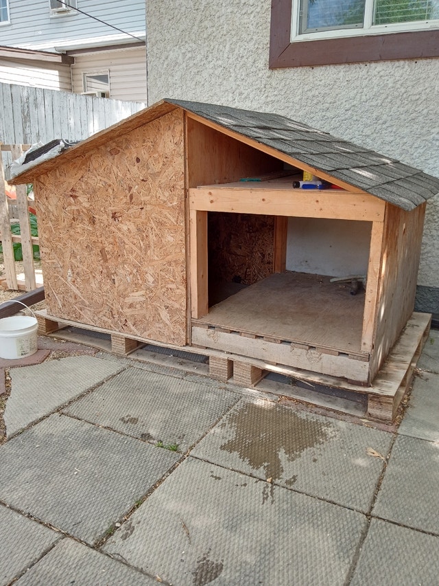 Dog house Animal & Pet Services Winnipeg Kijiji