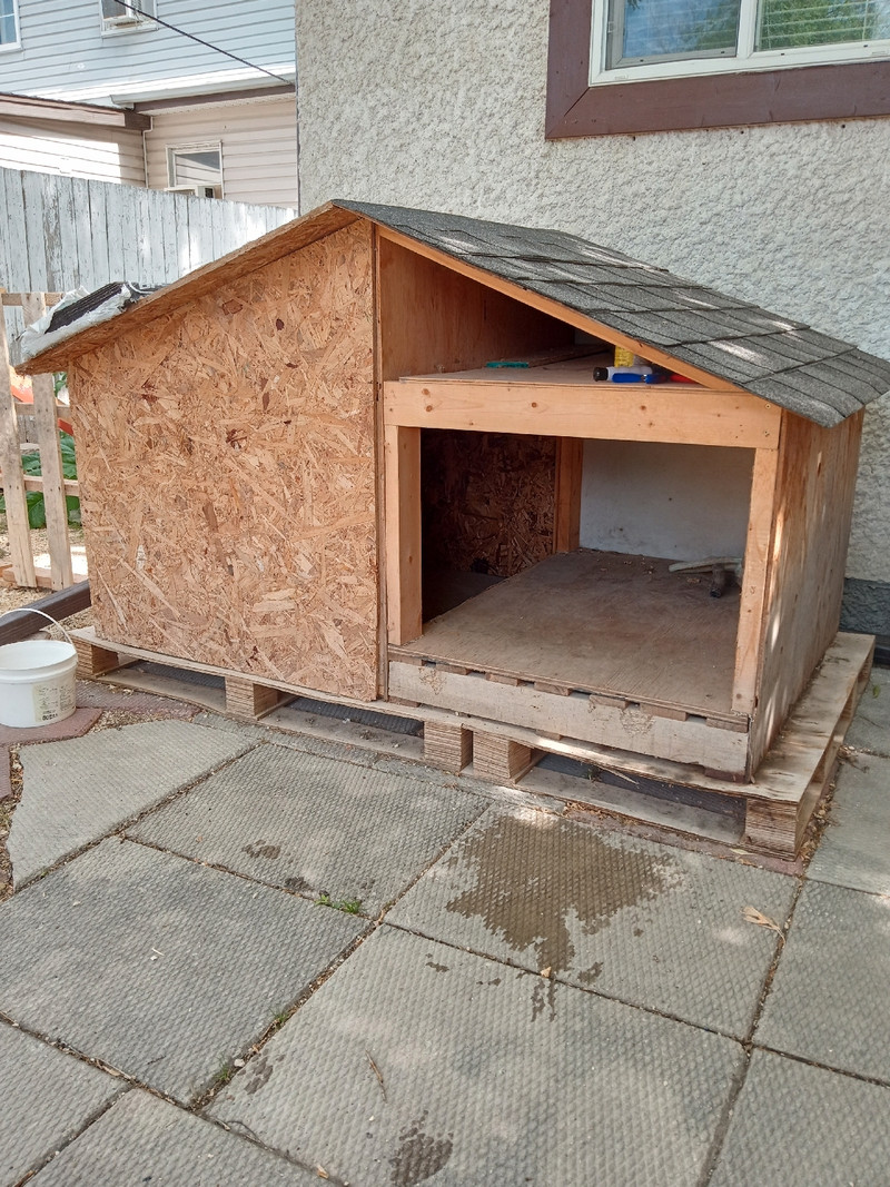 Dog house Animal & Pet Services Winnipeg Kijiji