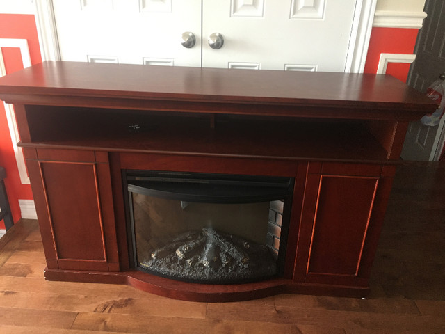 Electric/plug in fire place/TV stand with shelves in Fireplace & Firewood in Hamilton