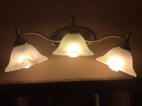 Bathroom light fixture