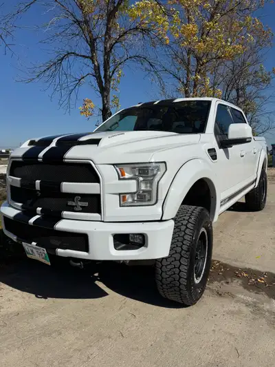 Check out this powerful 2016 Ford F-150 Shelby, boasting a robust engine and distinctive Shelby styl...