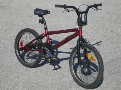 OLD SCHOOL 20" DYNO SERIES TRICK BMX WITH REAR STUNT PEGS!, View more