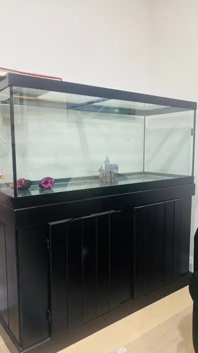 Transform your space with this beautiful 80-gallon aquarium setup — perfect for freshwater or saltwa...