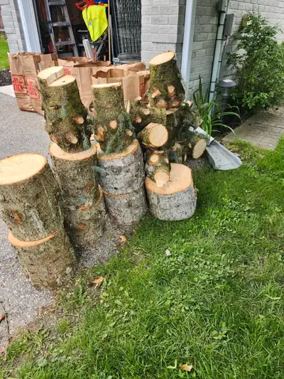 Free wood (pine)