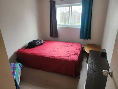 Room for rent