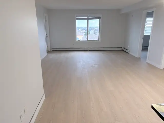flooring533461942310031361