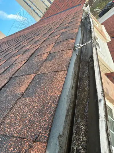 Keep your home looking its best with our professional Window & Gutter Cleaning service We make sure...