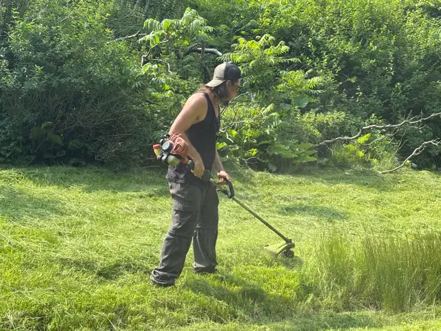 Tonte de pelouse  in Lawnmowers & Leaf Blowers in City of Montréal - Image 3