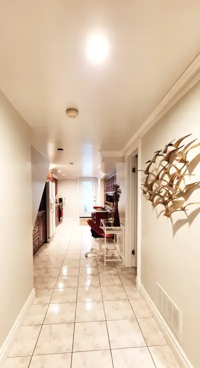 All Inclusive Furnished Basement Studio Apartment near Christie Pits Park and subway station Looking...