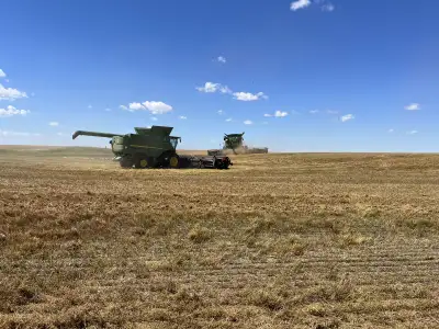 farm worker, View more