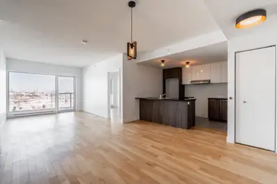Appartement 4 ½ à louer – Rue Myra-Cree, Montréal (H1K)