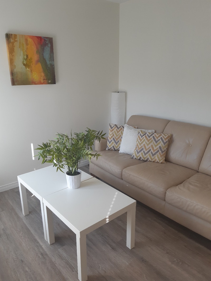 Fully furnished 4+ BR, 3Bath Townhouse close to Rivers and DT Short