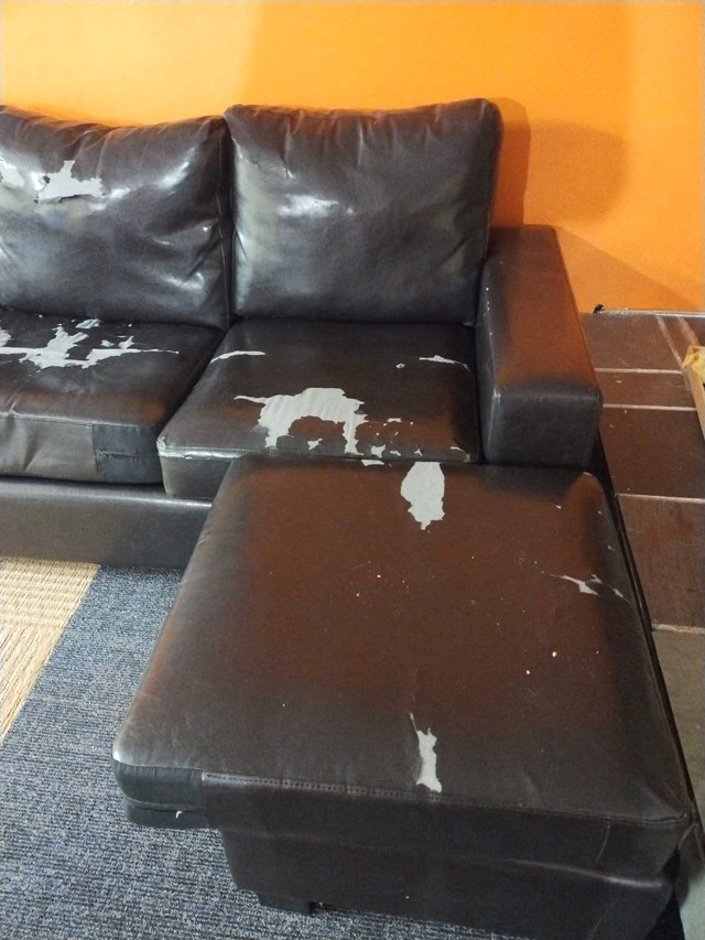 Free couch in Free Stuff in Edmonton - Image 2
