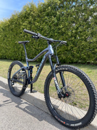 2020 Devinci Troy Large