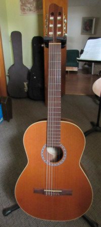 Acoustic Guitar