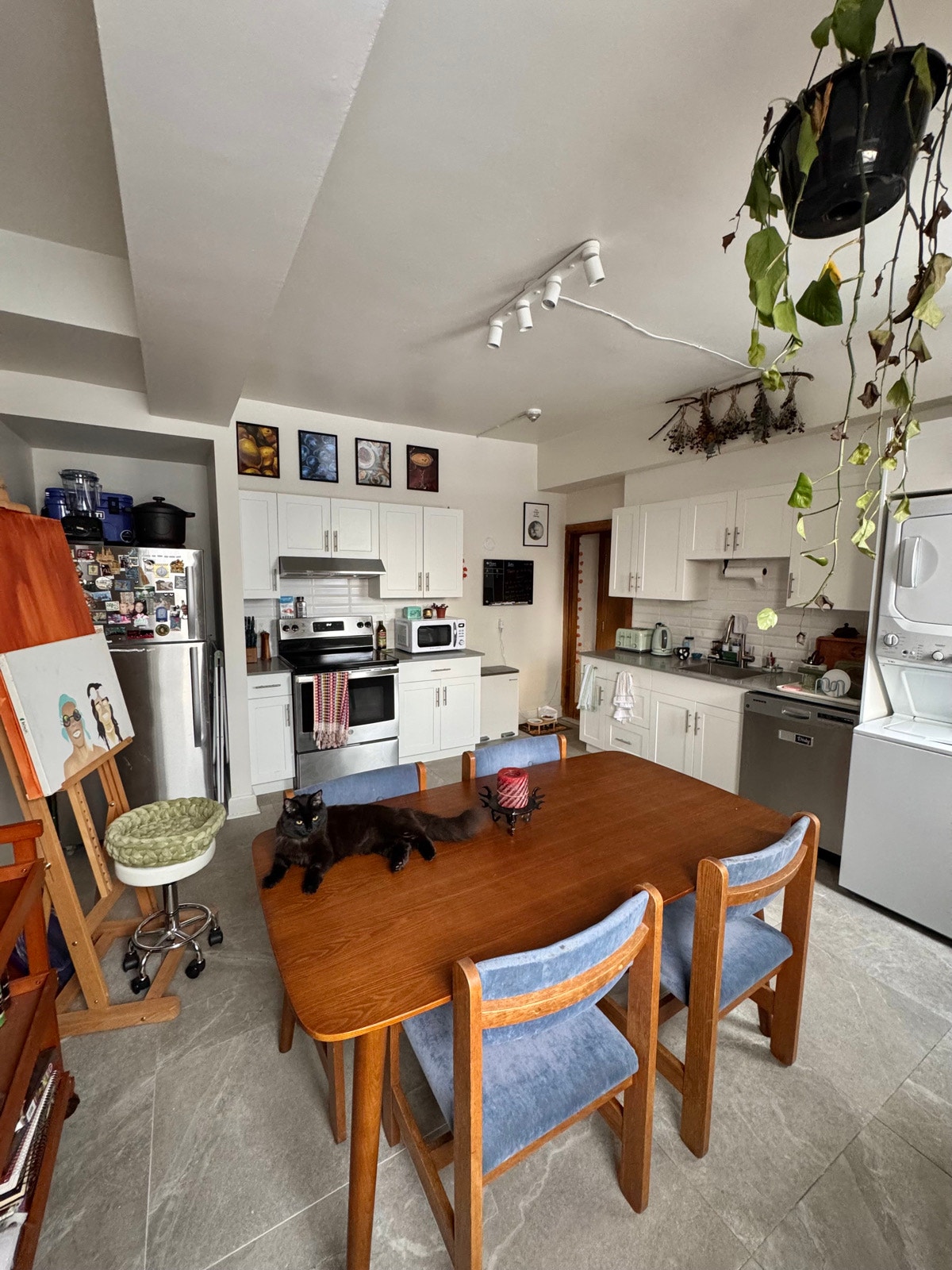 Bedroom Available in Cozy 5 1/2 Plateau Apartment — photo 3