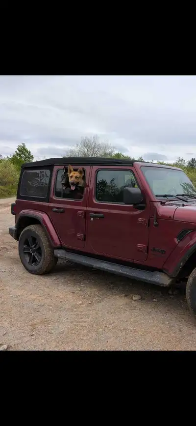 Top is from a 2021 4-door Wrangler. Near mint condition, only used 2 seasons and stored in a heated...