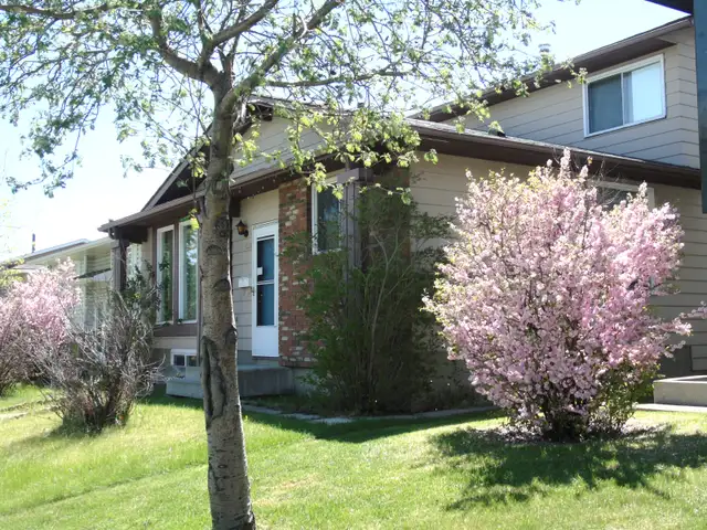 Room near Rundle CTrain and Mall Image# 1