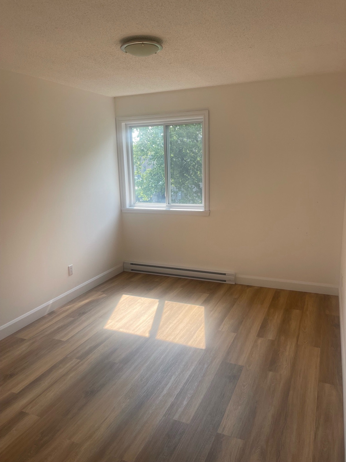 12250 Rue Lachapelle — photo 3