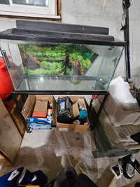 35 gallon aquarium 