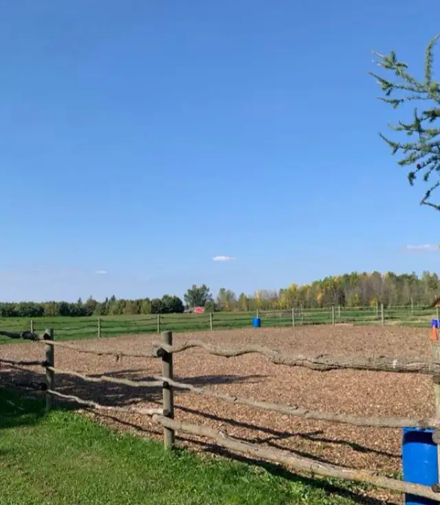 Unique  home for sale 93 acres Farm house with potential income in Houses for Sale in Oakville / Halton Region - Image 9