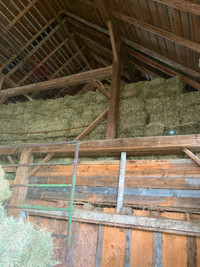 First cut hay