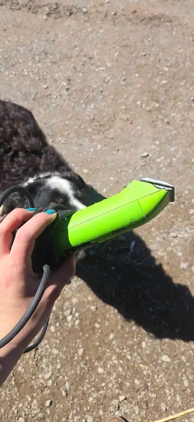 andis 2 speed Ultra Edge dog/cow clippers corded, View more
