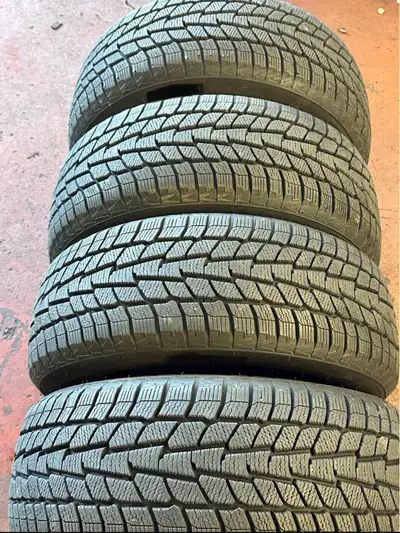 Motomaster Winter Edge 225/50R18 (4 Tires) Winters
