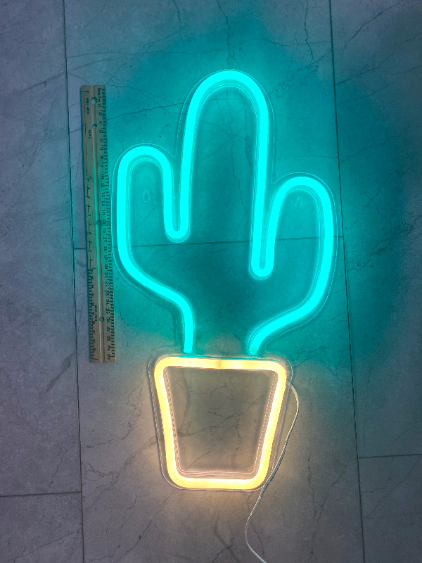 Cactus light in Indoor Lighting & Fans in Peterborough - Image 2