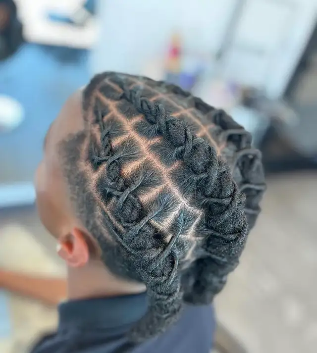 Braids and Locs602765533412730889