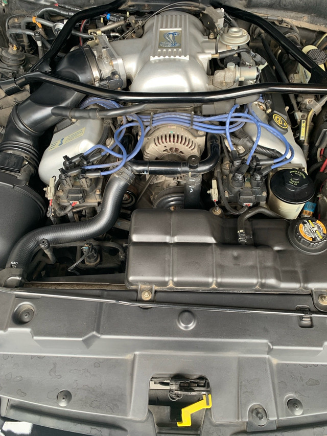 1997 Ford Mustang cobra convertible in Classic Cars in Markham / York Region - Image 4