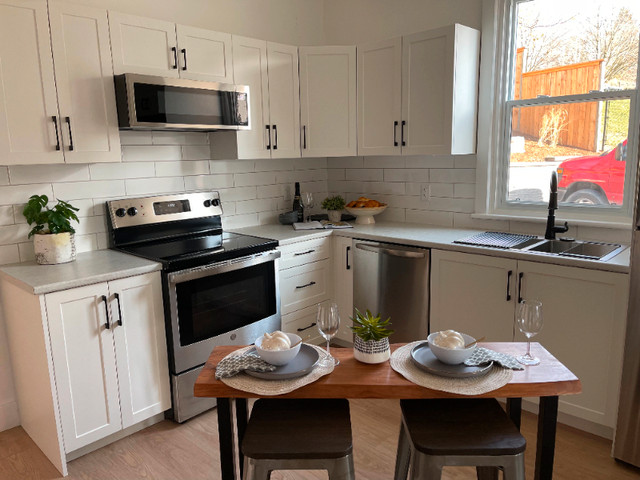 Fully Renovated 1 Bedroom - Available Apr 1 in Long Term Rentals in Woodstock - Image 4