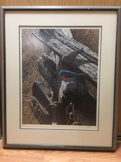 Framed Picture – Bluebirds On Rail Fence by Ron Parker, View more
