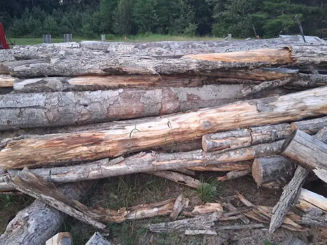 needing your log pile cut and split? in Fireplace & Firewood in Muskoka - Image 5