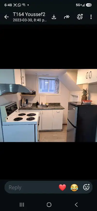 Main intersection pharmacy and Sheppard Available from November 01, One bed, living, own kitchen and...
