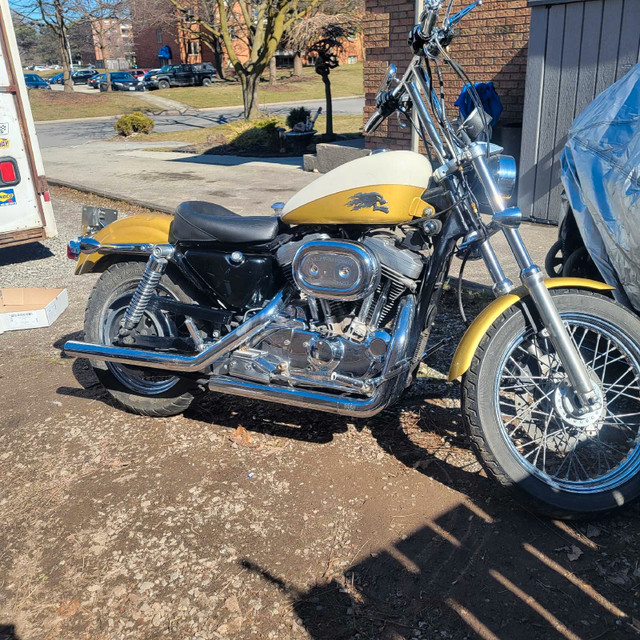 Harley davidson 883 in Street, Cruisers & Choppers in St. Catharines