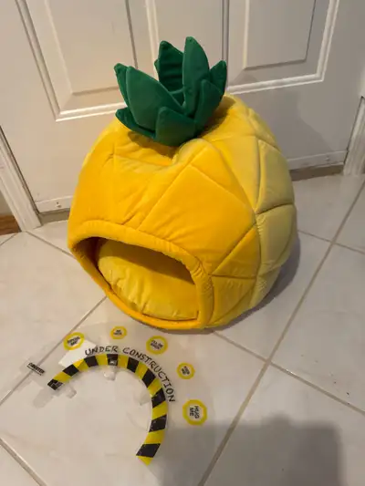 This is a new, plush pineapple pet bed, perfect for cats or small dogs looking for a cozy retreat. I...