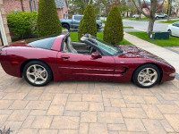 50th Anniversary Corvette!