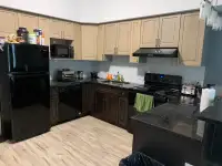2 bed 2 bath fully furnished apartment on Albert St for rent
