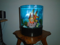 Lampe aquarium virtuel,lire description,Saint-Georges