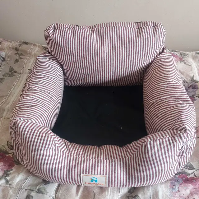 Nice Cats bed .only used three times he sooner banans box in Arts & Collectibles in Charlottetown - Image 7