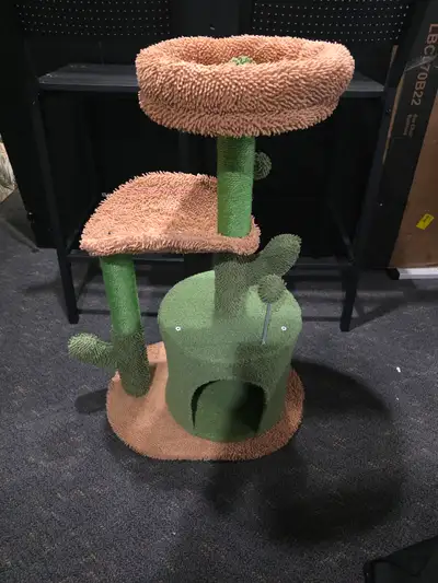 Cat Cactus Tree, View more