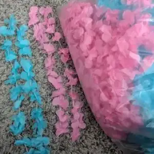 Baby Shower Gender Reveal Stuff in Other in Ottawa - Image 4