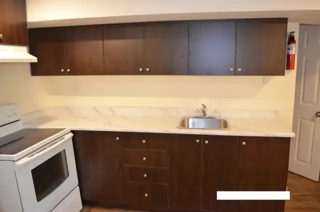 2 Bedroom Walkout Basement in Brampton