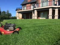 Full-Time Lawn care / property maintenance Job